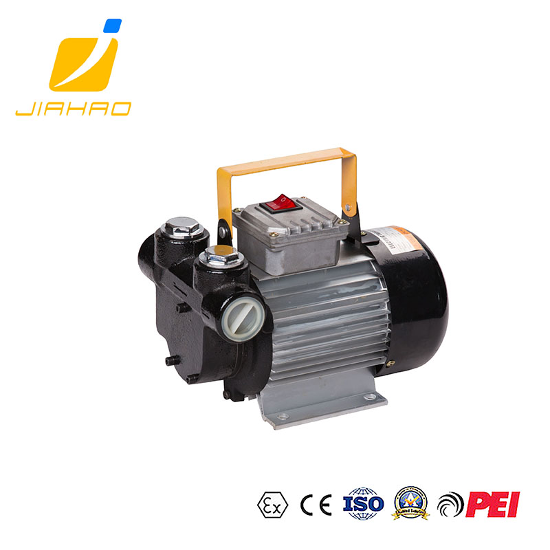 DYB60-AC220 110柴油泵